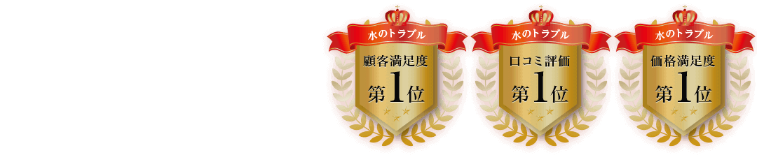 全てにおいてNo,1を獲得しました。